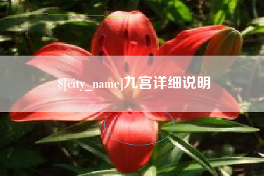 荆州九宫详细说明