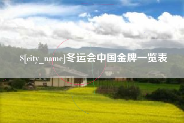 荆州冬运会中国金牌一览表