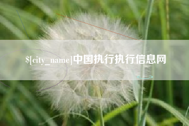 荆州中国执行执行信息网