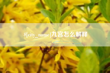 荆州九宫怎么解释