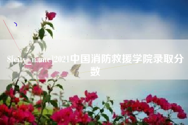 荆州2021中国消防救援学院录取分数