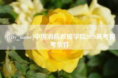 荆州中国消防救援学院2020高考报考条件