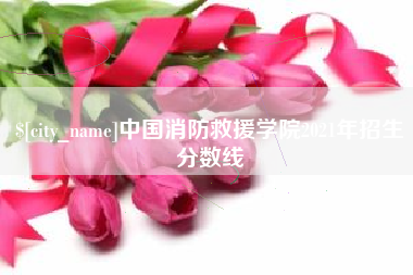 荆州中国消防救援学院2021年招生分数线