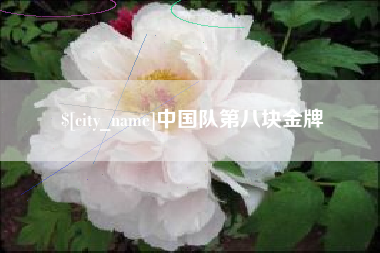 荆州中国队第八块金牌