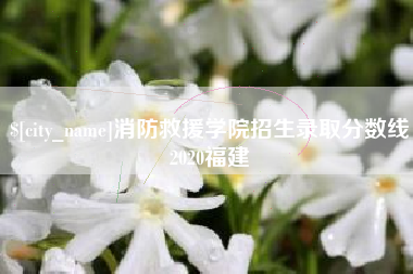 荆州消防救援学院招生录取分数线2020福建