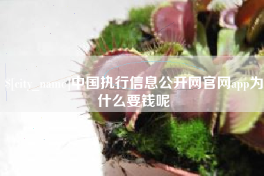 荆州中国执行信息公开网官网app为什么要钱呢