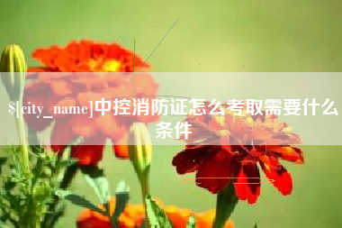 荆州中控消防证怎么考取需要什么条件