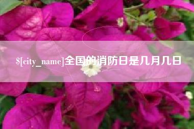 荆州全国的消防日是几月几日
