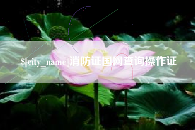 荆州消防证国网查询操作证