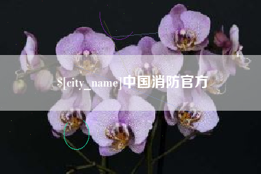 荆州中国消防官方