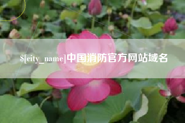荆州中国消防官方网站域名