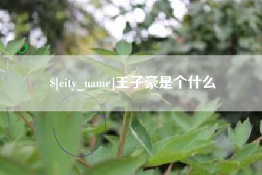 荆州王子豪是个什么