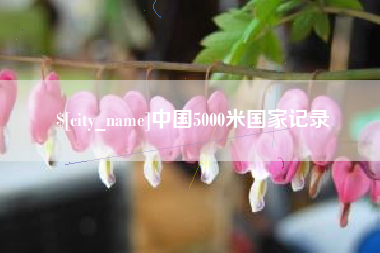 荆州中国5000米国家记录