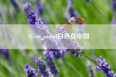 荆州白色在中国