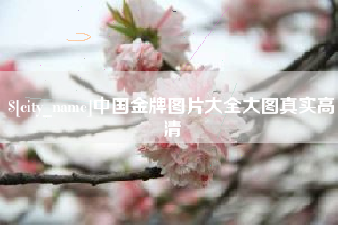 荆州中国金牌图片大全大图真实高清