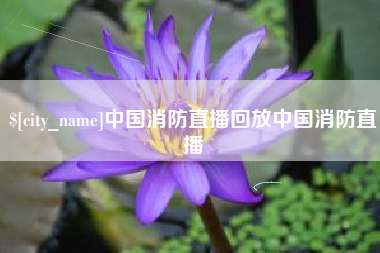 荆州中国消防直播回放中国消防直播
