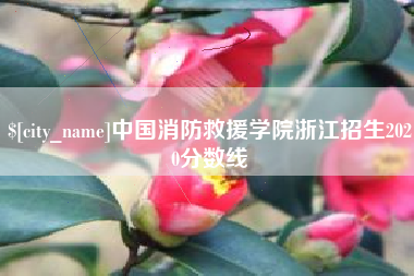 荆州中国消防救援学院浙江招生2020分数线