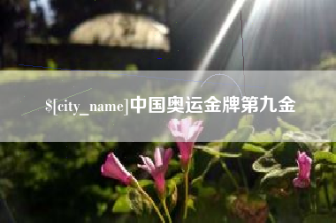 荆州中国奥运金牌第九金