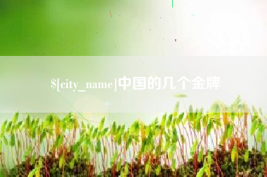 荆州中国的几个金牌