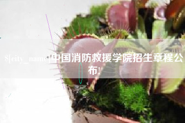 荆州中国消防救援学院招生章程公布!