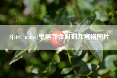 荆州奥运夺金时刻九宫格图片