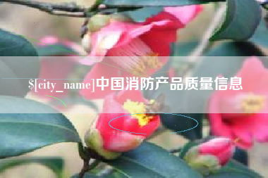 荆州中国消防产品质量信息