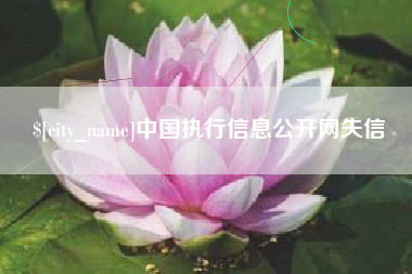 荆州中国执行信息公开网失信