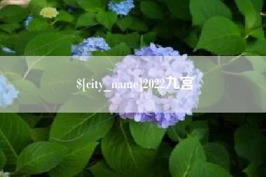 荆州2022九宫