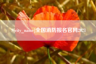 荆州全国消防报名官网2021