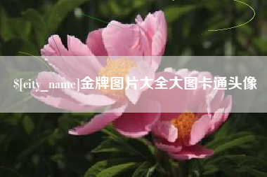 荆州金牌图片大全大图卡通头像