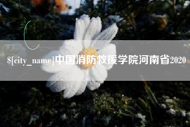 荆州中国消防救援学院河南省2020